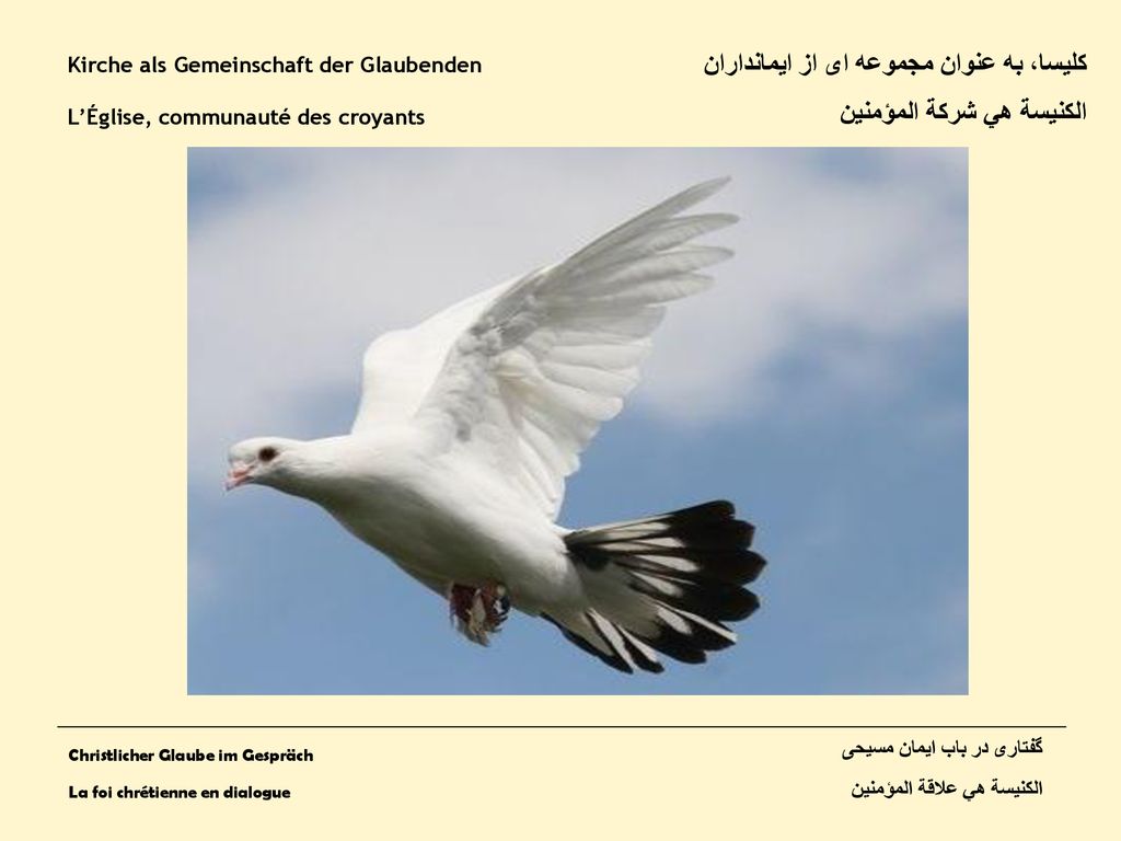 کلیسا، به عنوان مجموعه ای از ایمانداران الكنيسة هي شركة المؤمنين