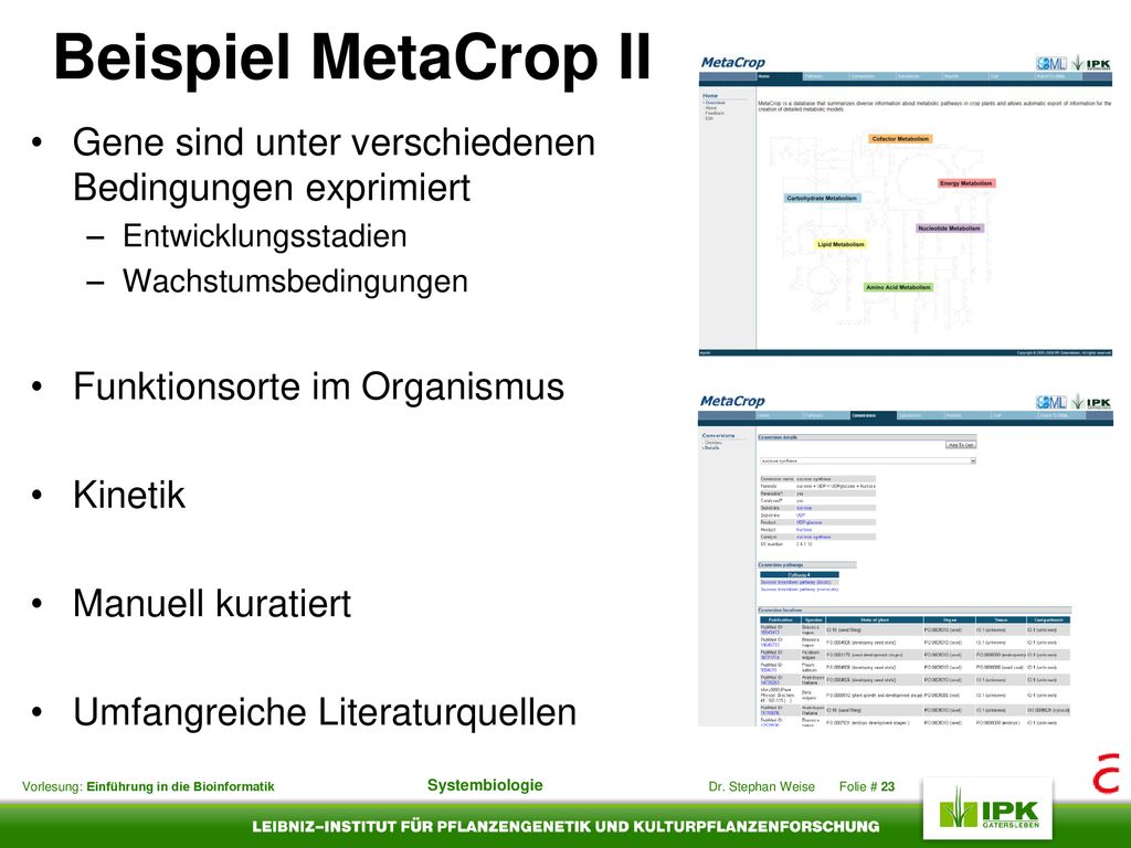 Beispiel MetaCrop II Gene sind unter verschiedenen Bedingungen exprimiert. Entwicklungsstadien. Wachstumsbedingungen.