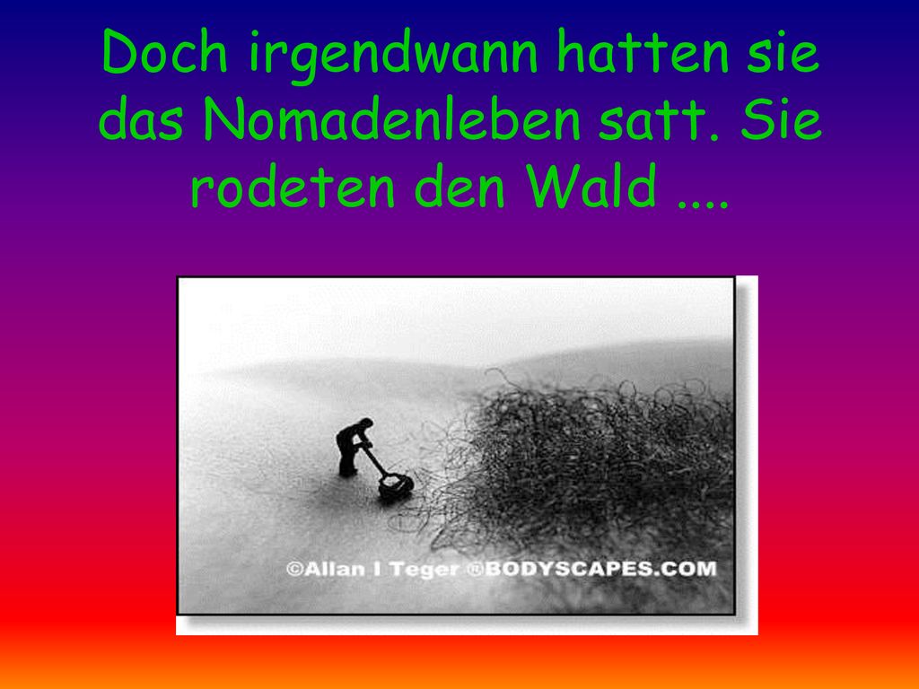 Doch irgendwann hatten sie das Nomadenleben satt. Sie rodeten den Wald ....