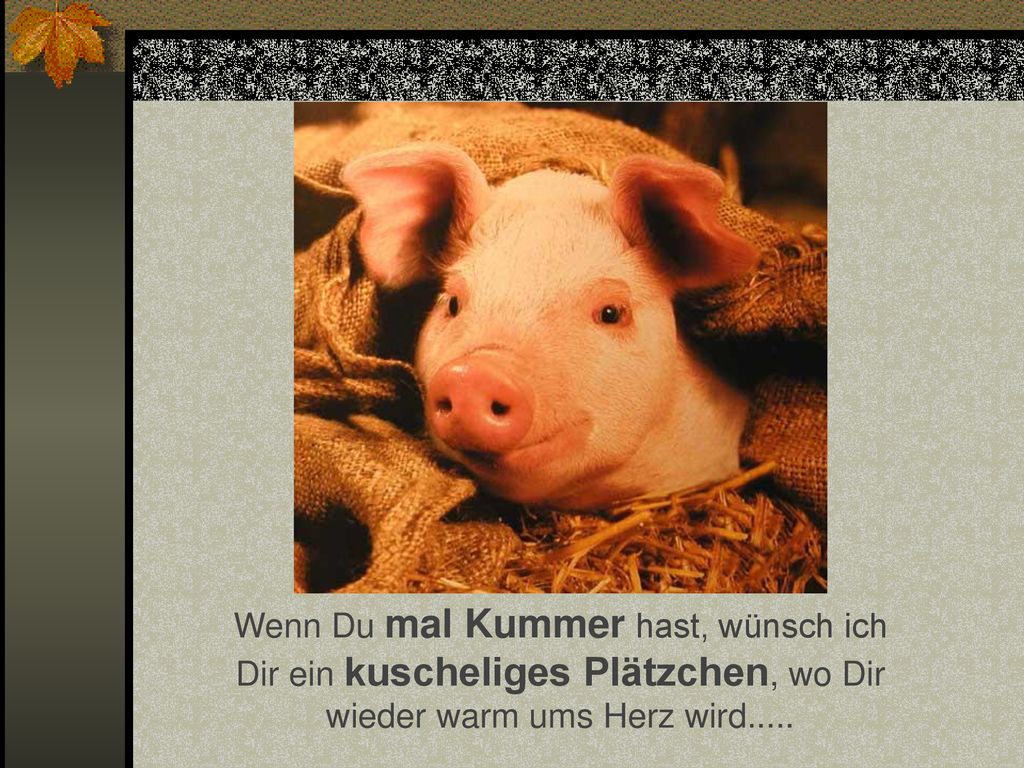 Wenn Du mal Kummer hast, wünsch ich Dir ein kuscheliges Plätzchen, wo Dir wieder warm ums Herz wird.....