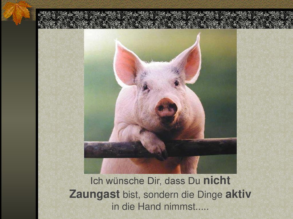 Ich wünsche Dir, dass Du nicht Zaungast bist, sondern die Dinge aktiv in die Hand nimmst.....