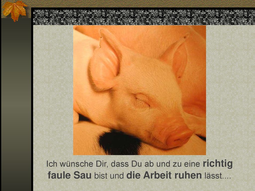 Ich wünsche Dir, dass Du ab und zu eine richtig faule Sau bist und die Arbeit ruhen lässt....
