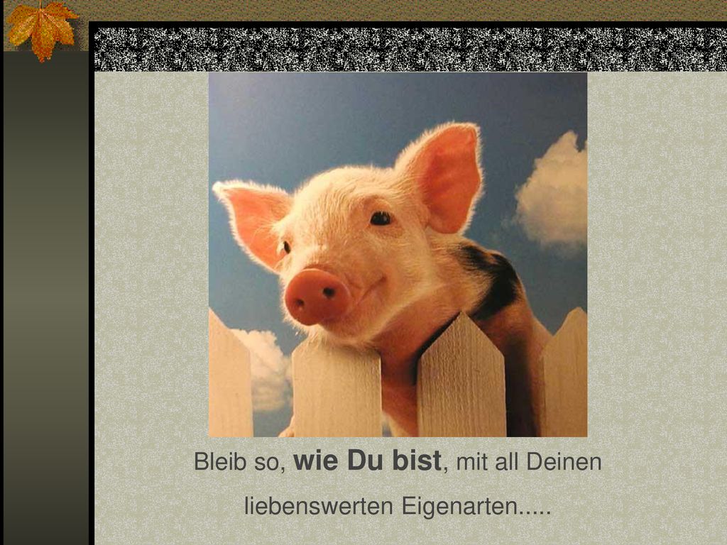 Bleib so, wie Du bist, mit all Deinen liebenswerten Eigenarten.....