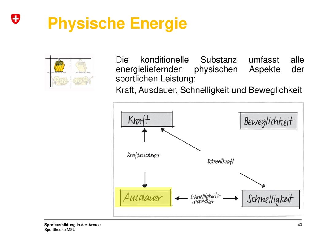 Physische Energie Die konditionelle Substanz umfasst alle energieliefernden physischen Aspekte der sportlichen Leistung: