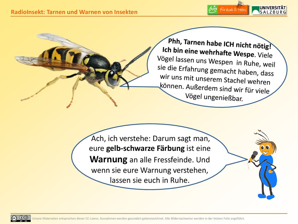Ich bin mit dem Wort „Trick nicht ganz einverstanden.