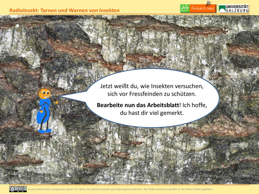 Bearbeite nun das Arbeitsblatt! Ich hoffe, du hast dir viel gemerkt.