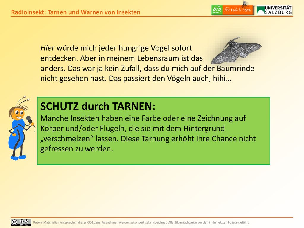 SCHUTZ durch TARNEN: Hier würde mich jeder hungrige Vogel sofort