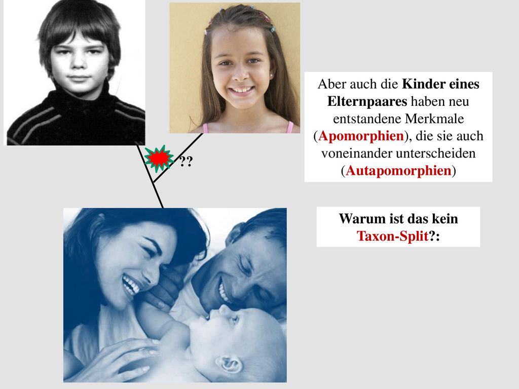 Aber auch die Kinder eines Elternpaares haben neu entstandene Merkmale (Apomorphien), die sie auch voneinander unterscheiden (Autapomorphien)