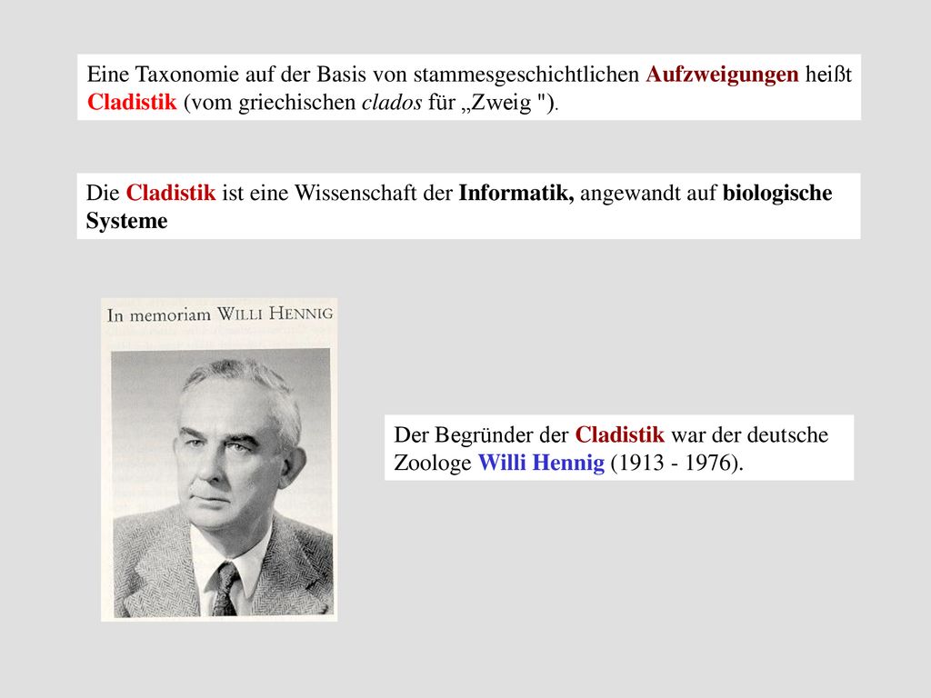 Eine Taxonomie auf der Basis von stammesgeschichtlichen Aufzweigungen heißt Cladistik (vom griechischen clados für „Zweig ).