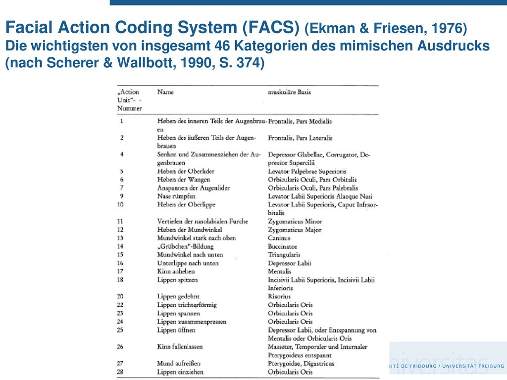 Facial Action Coding System (FACS) (Ekman & Friesen, 1976) Die wichtigsten von insgesamt 46 Kategorien des mimischen Ausdrucks (nach Scherer & Wallbott, 1990, S.
