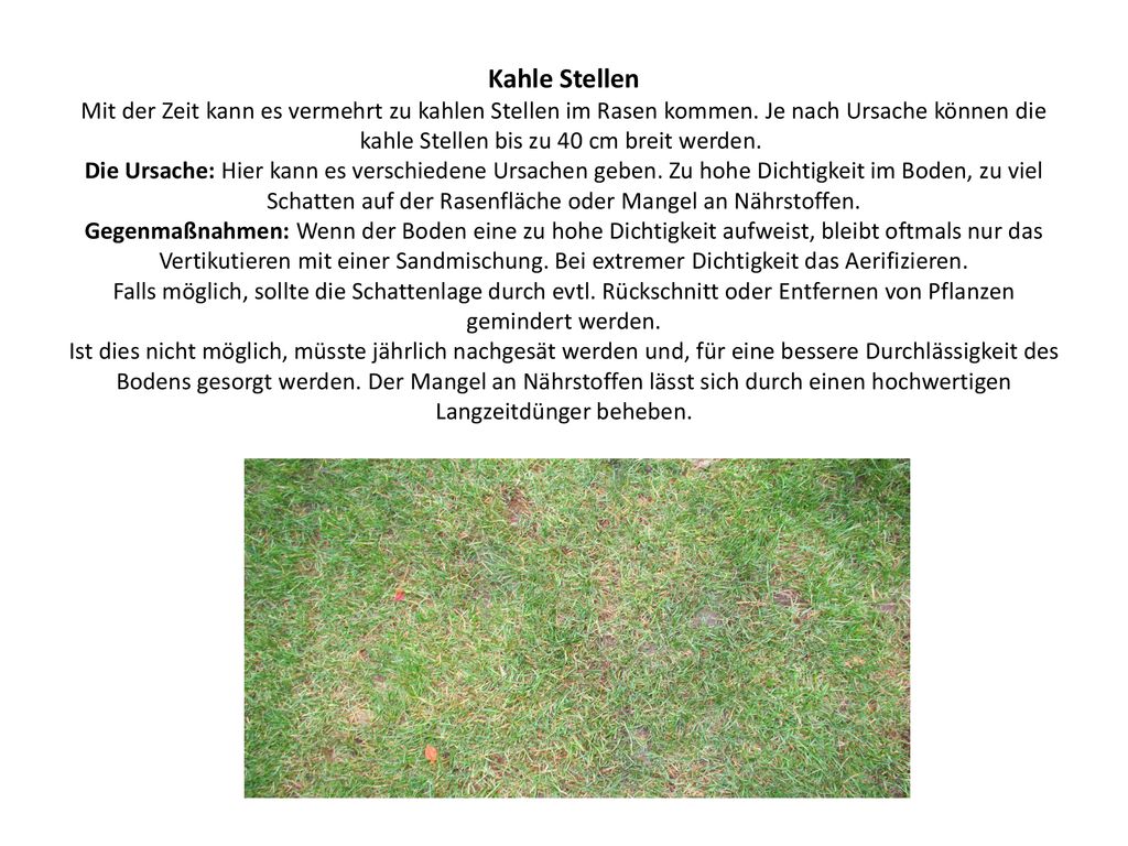 Kahle Stellen Mit der Zeit kann es vermehrt zu kahlen Stellen im Rasen kommen.