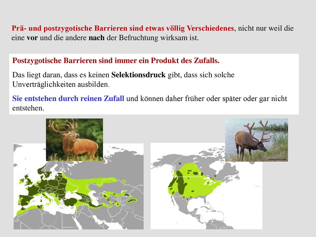 Prä- und postzygotische Barrieren sind etwas völlig Verschiedenes, nicht nur weil die eine vor und die andere nach der Befruchtung wirksam ist.