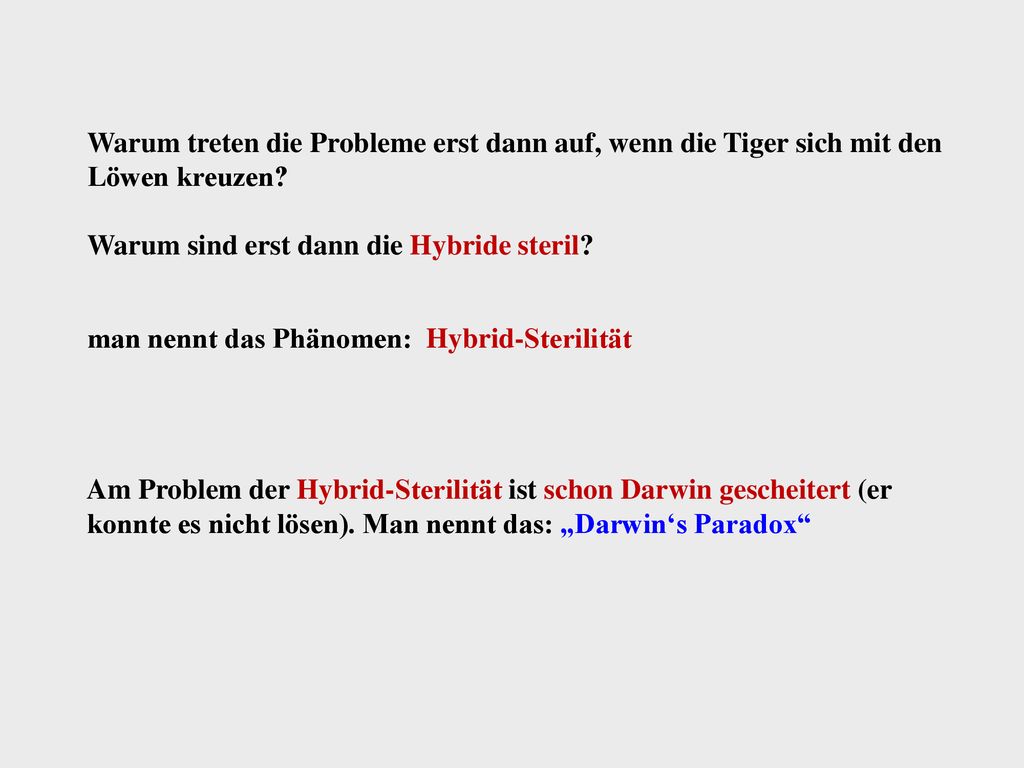 Warum treten die Probleme erst dann auf, wenn die Tiger sich mit den Löwen kreuzen