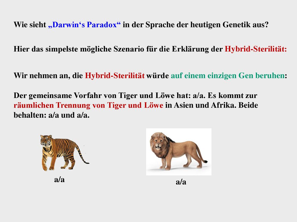 Wie sieht „Darwin‘s Paradox in der Sprache der heutigen Genetik aus