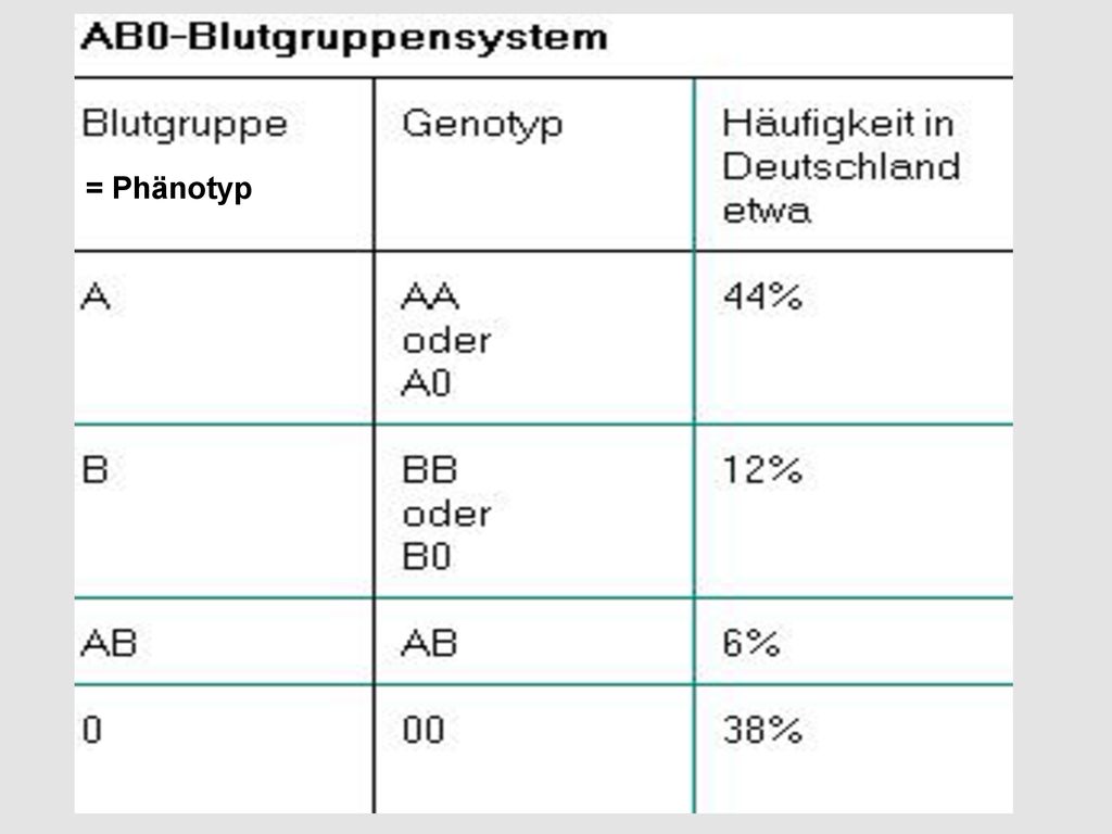 Kapitel 9 RasseBegriff und das „outofAfrica“ von Homo sapiens