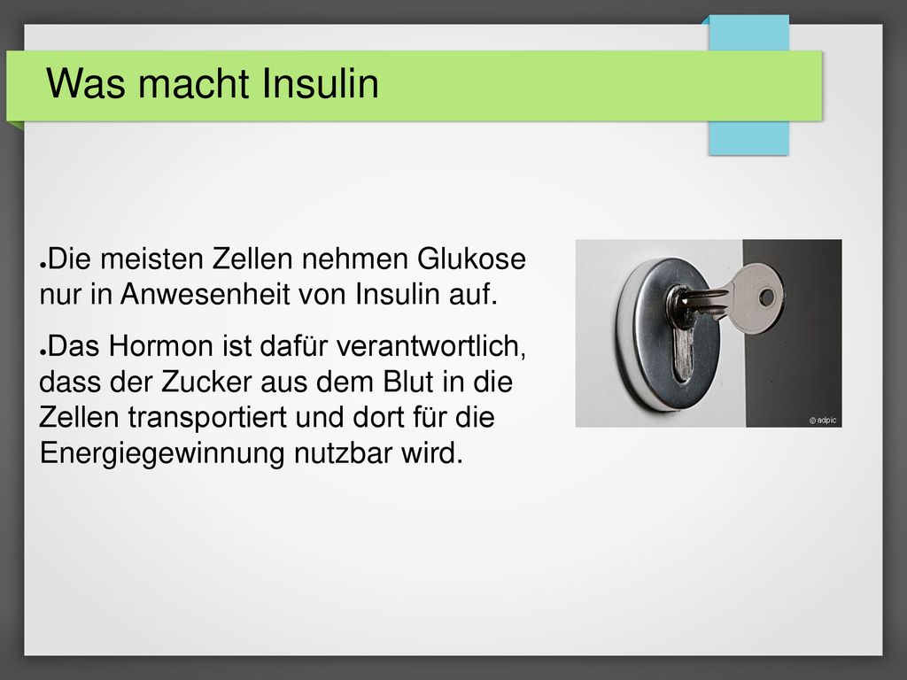 Was macht Insulin Die meisten Zellen nehmen Glukose nur in Anwesenheit von Insulin auf.