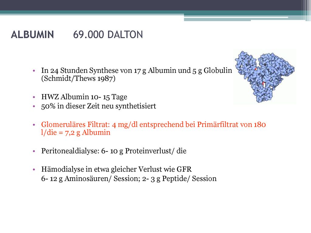 ALBUMIN DALTON In 24 Stunden Synthese von 17 g Albumin und 5 g Globulin (Schmidt/Thews 1987)