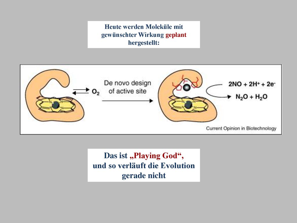 Das ist „Playing God , und so verläuft die Evolution gerade nicht