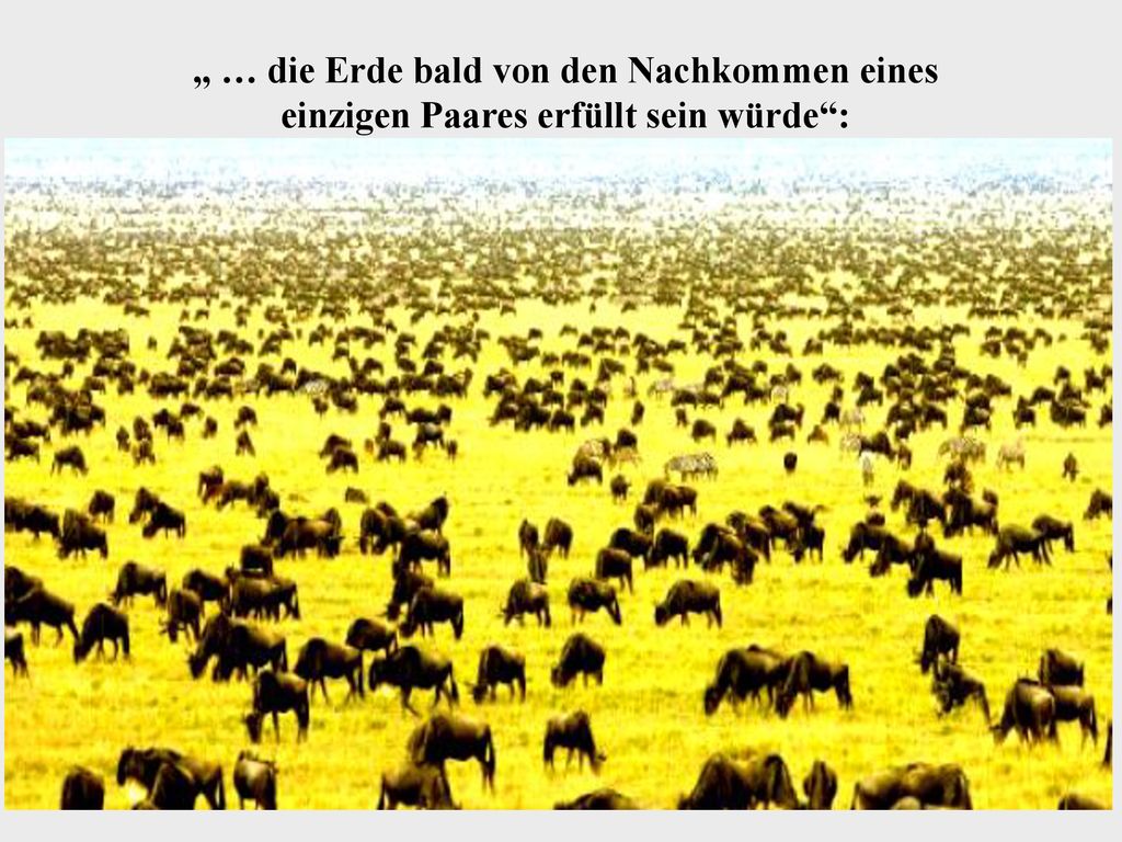 „ … die Erde bald von den Nachkommen eines einzigen Paares erfüllt sein würde :