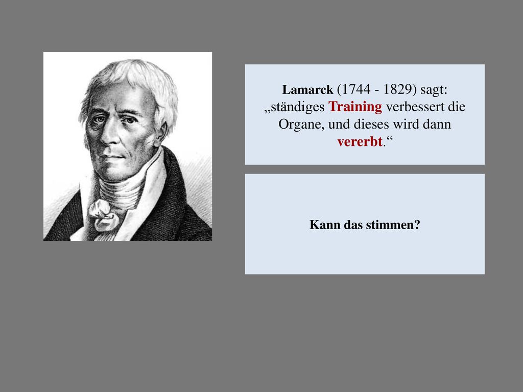 Lamarck ( ) sagt: „ständiges Training verbessert die Organe, und dieses wird dann vererbt.