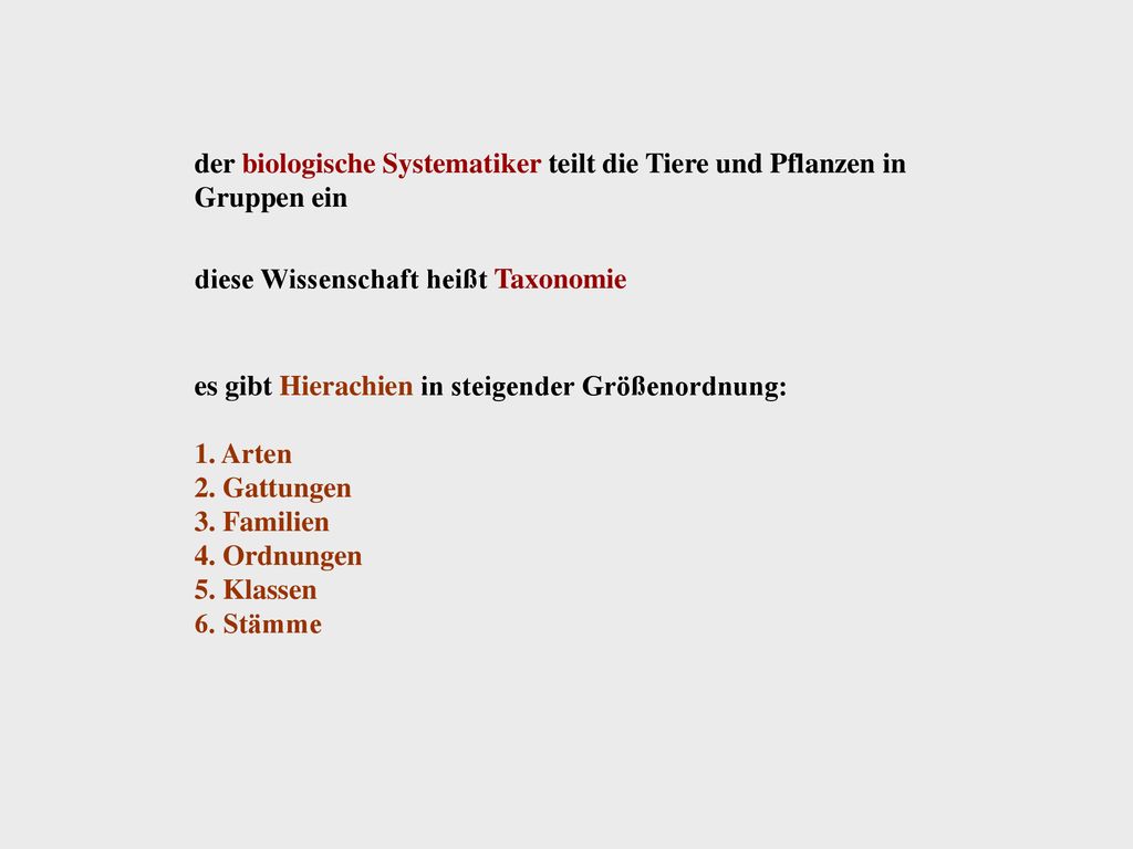 der biologische Systematiker teilt die Tiere und Pflanzen in Gruppen ein