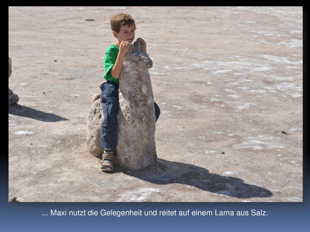 ... Maxi nutzt die Gelegenheit und reitet auf einem Lama aus Salz.