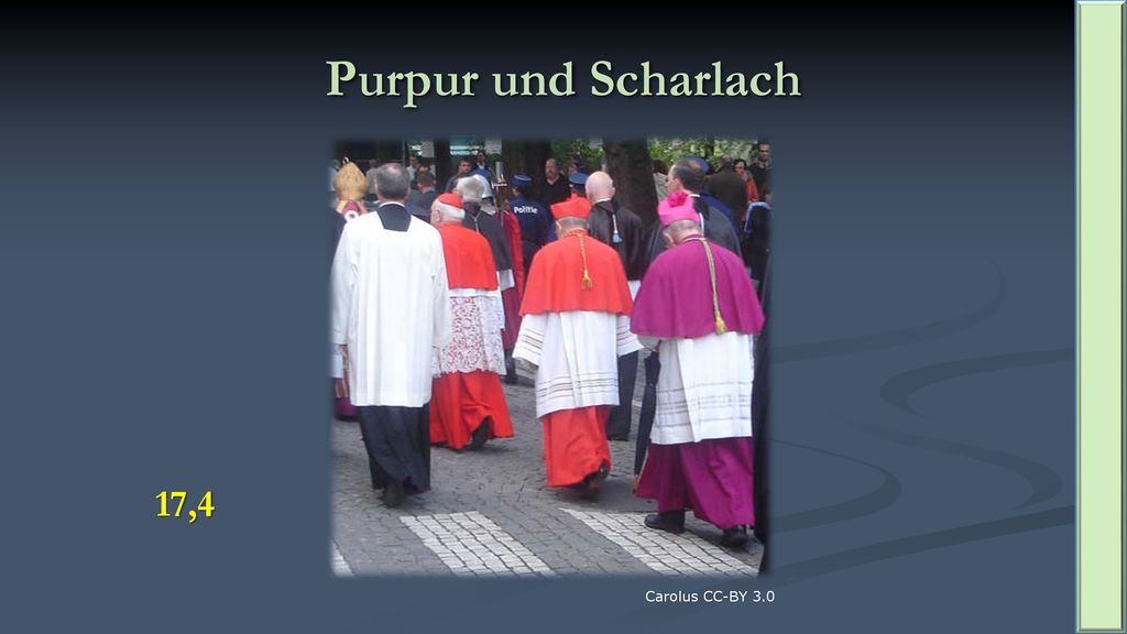 Purpur und Scharlach 17,4 Carolus CC-BY 3.0 Carolus CC-BY 3.0
