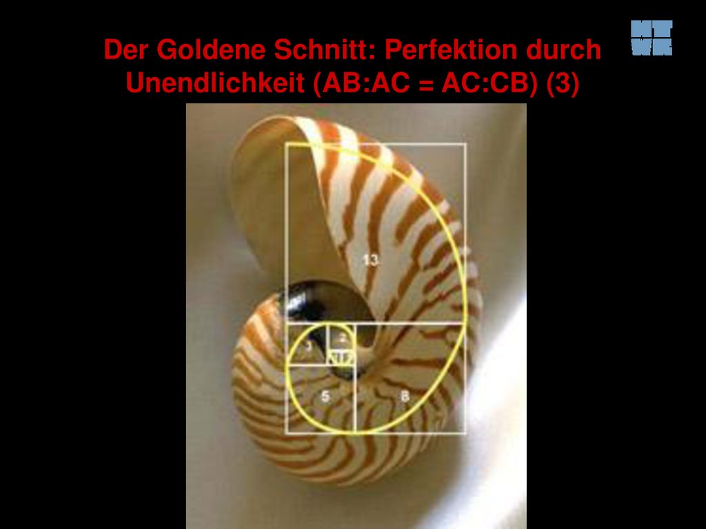 Der Goldene Schnitt: Perfektion durch Unendlichkeit (AB:AC = AC:CB) (3)