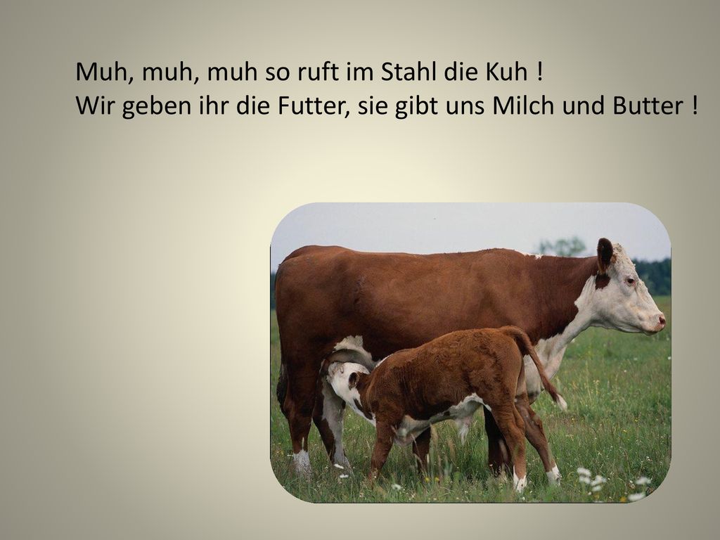 Muh, muh, muh so ruft im Stahl die Kuh !
