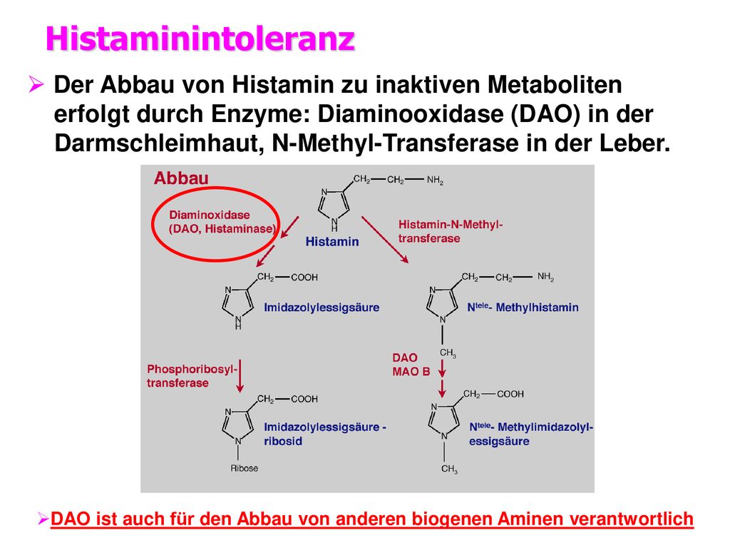 DAO ist auch für den Abbau von anderen biogenen Aminen verantwortlich