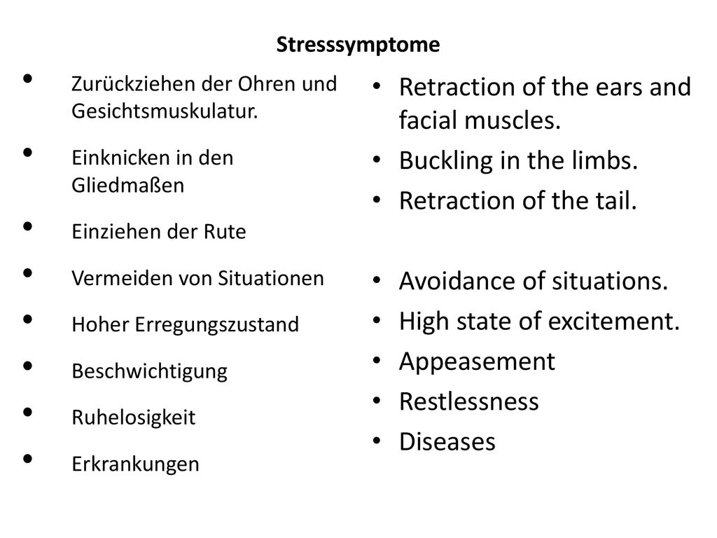 Retraction of the ears and facial muscles. Buckling in the limbs.