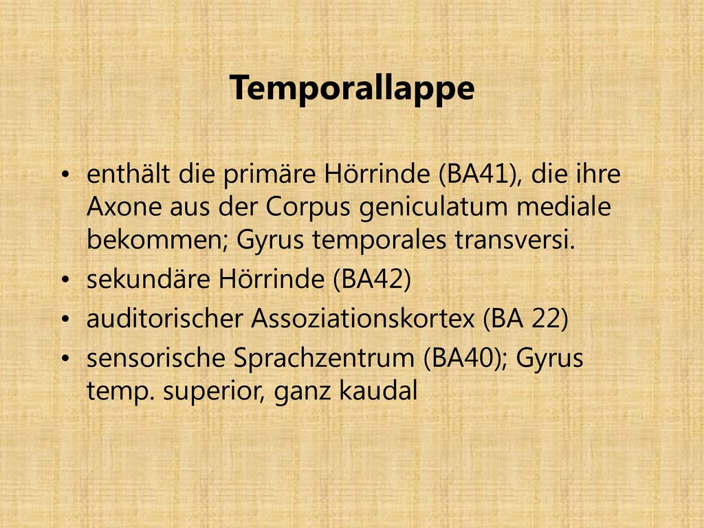 Temporallappe enthält die primäre Hörrinde (BA41), die ihre Axone aus der Corpus geniculatum mediale bekommen; Gyrus temporales transversi.