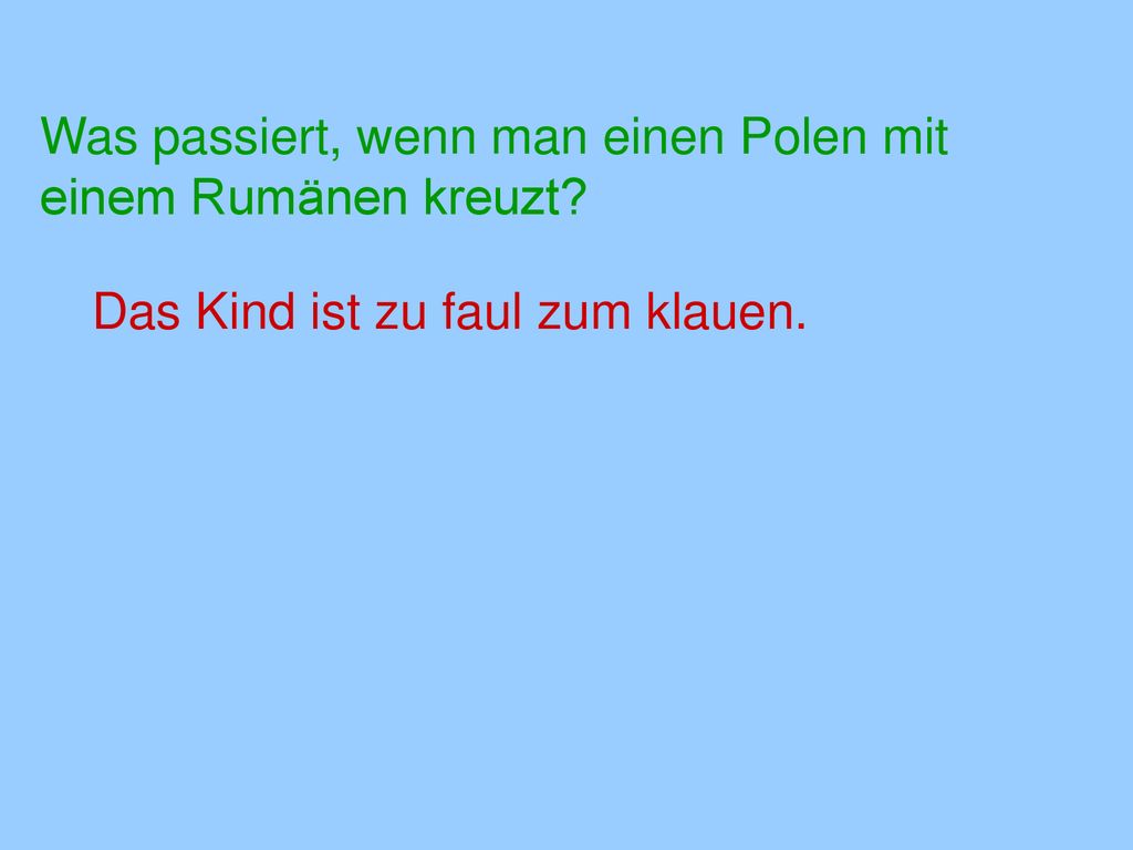 Was passiert, wenn man einen Polen mit einem Rumänen kreuzt