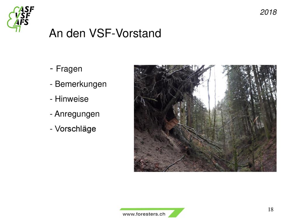 An den VSF-Vorstand - Fragen - Bemerkungen - Hinweise - Anregungen