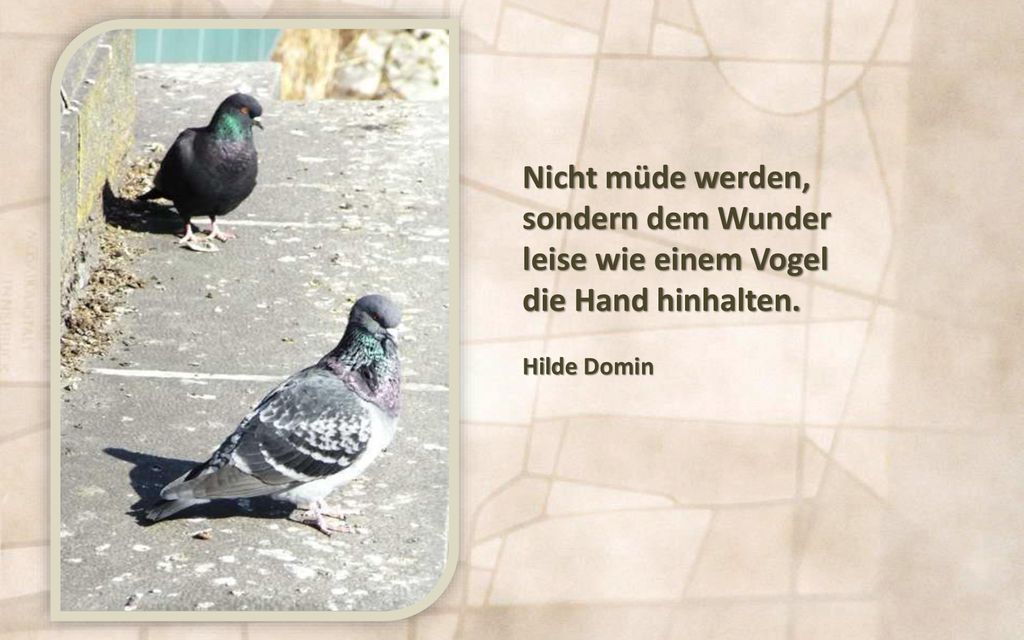 Nicht müde werden, sondern dem Wunder leise wie einem Vogel