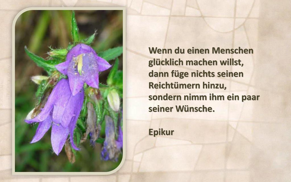 Wenn du einen Menschen glücklich machen willst, dann füge nichts seinen. Reichtümern hinzu, sondern nimm ihm ein paar.