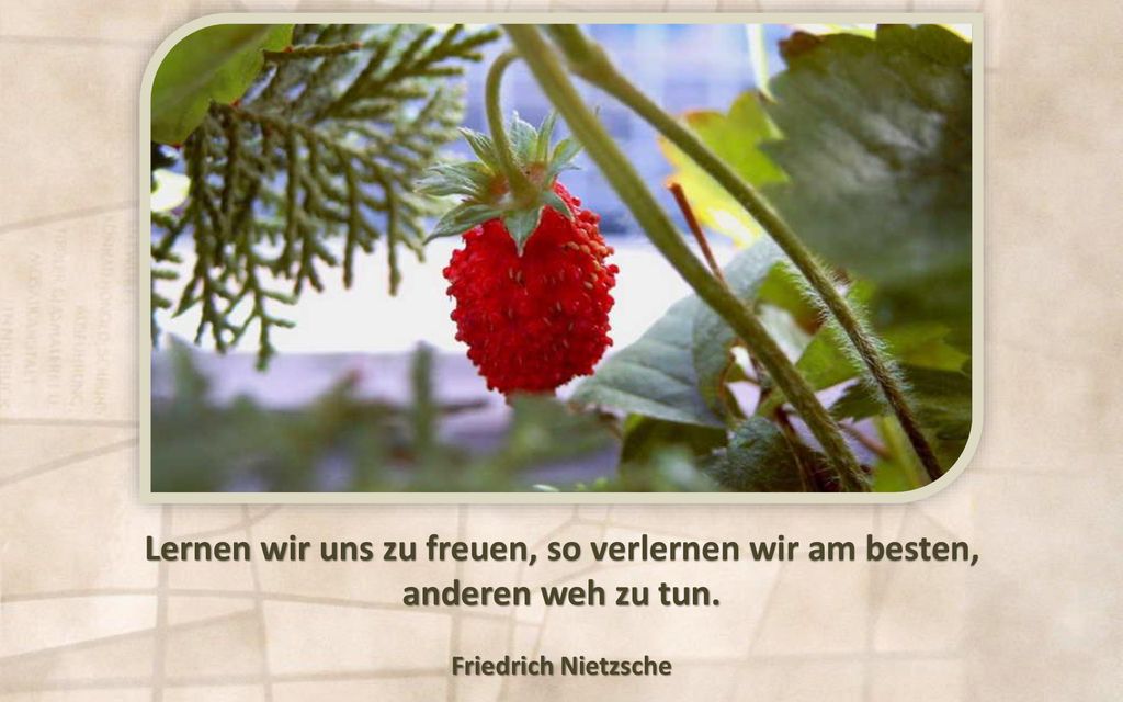 Lernen wir uns zu freuen, so verlernen wir am besten,
