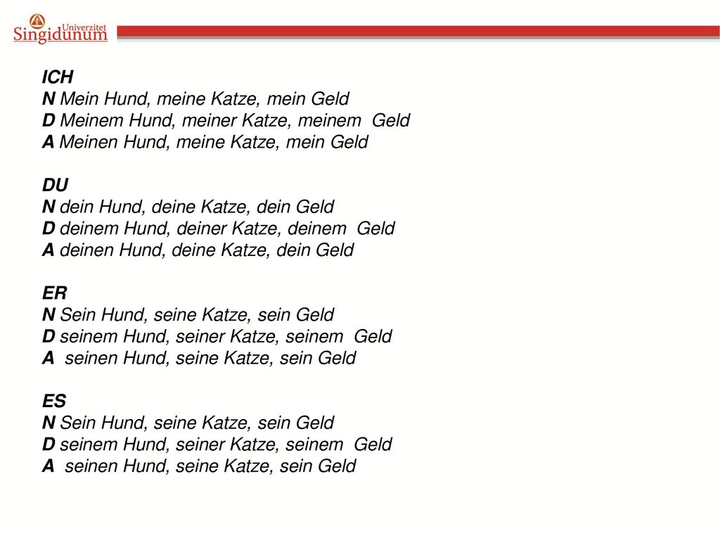 ICH N Mein Hund, meine Katze, mein Geld. D Meinem Hund, meiner Katze, meinem Geld. A Meinen Hund, meine Katze, mein Geld.
