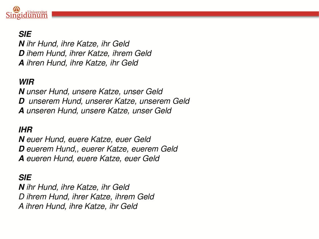SIE N ihr Hund, ihre Katze, ihr Geld. D ihem Hund, ihrer Katze, ihrem Geld. A ihren Hund, ihre Katze, ihr Geld.