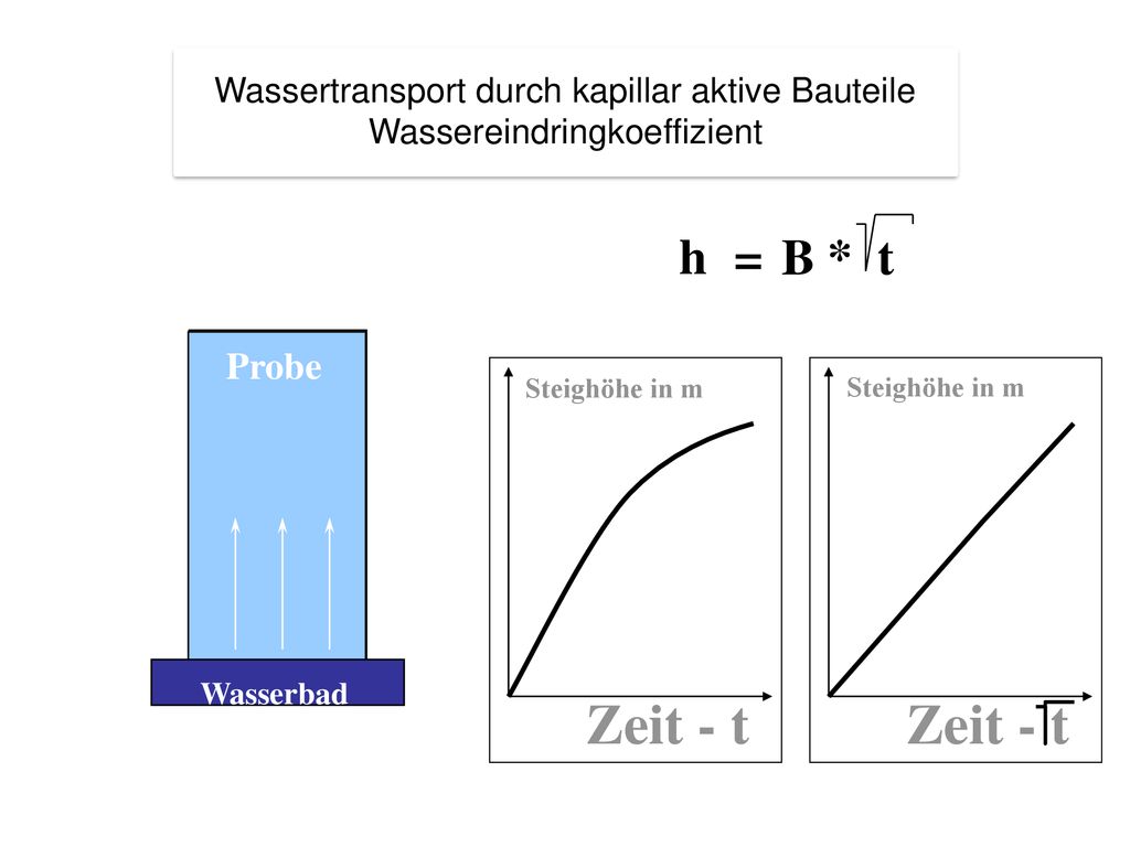 Zeit - t Zeit - t = B * t h Probe