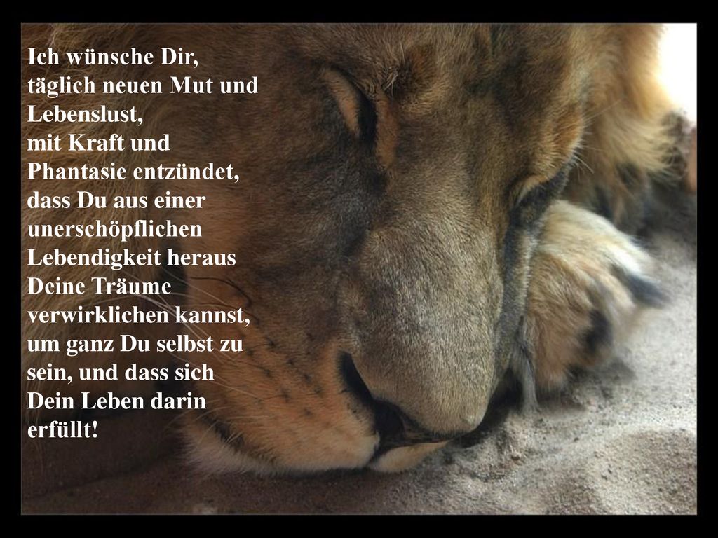 Ich wünsche Dir, täglich neuen Mut und Lebenslust, mit Kraft und Phantasie entzündet, dass Du aus einer unerschöpflichen Lebendigkeit heraus Deine Träume verwirklichen kannst, um ganz Du selbst zu sein, und dass sich Dein Leben darin erfüllt!