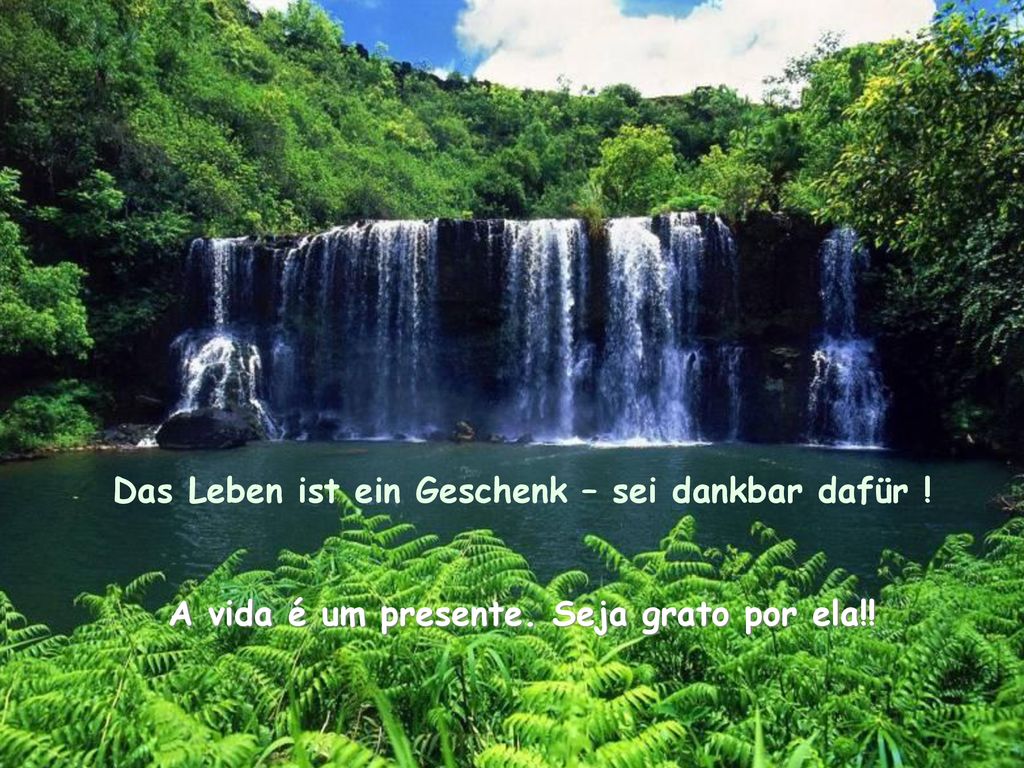 Das Leben ist ein Geschenk – sei dankbar dafür !