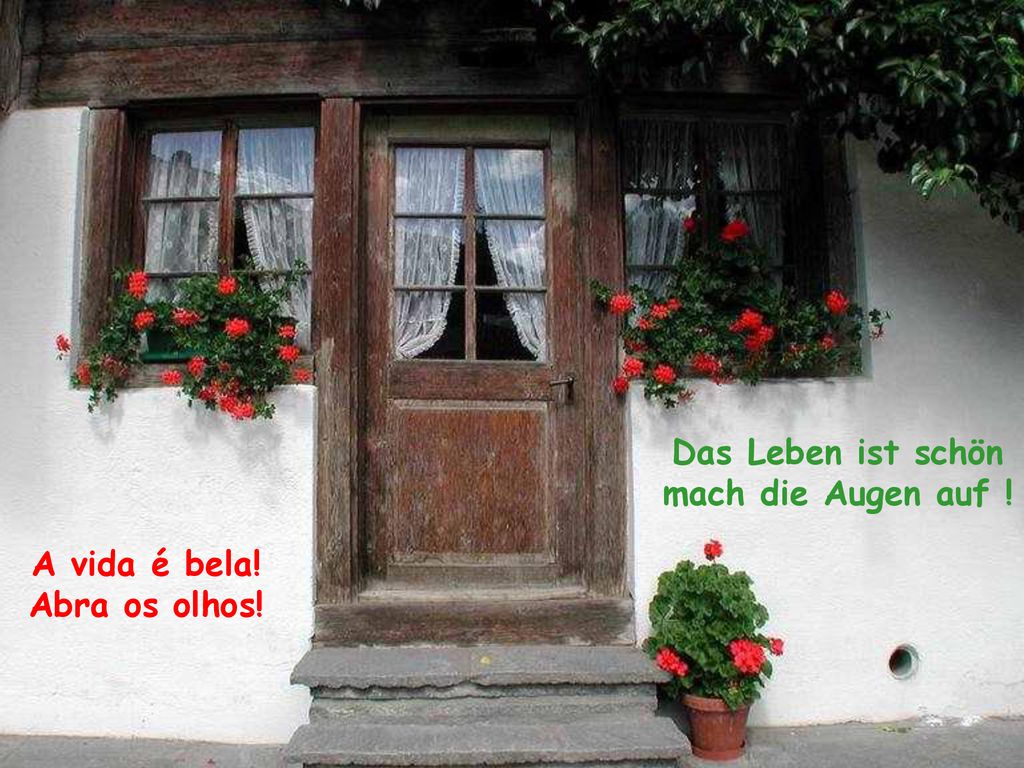 Das Leben ist schön mach die Augen auf ! A vida é bela! Abra os olhos!