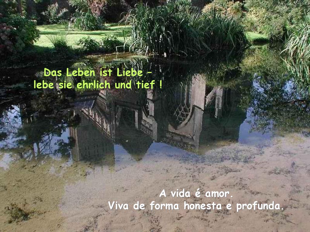 Das Leben ist Liebe – lebe sie ehrlich und tief !