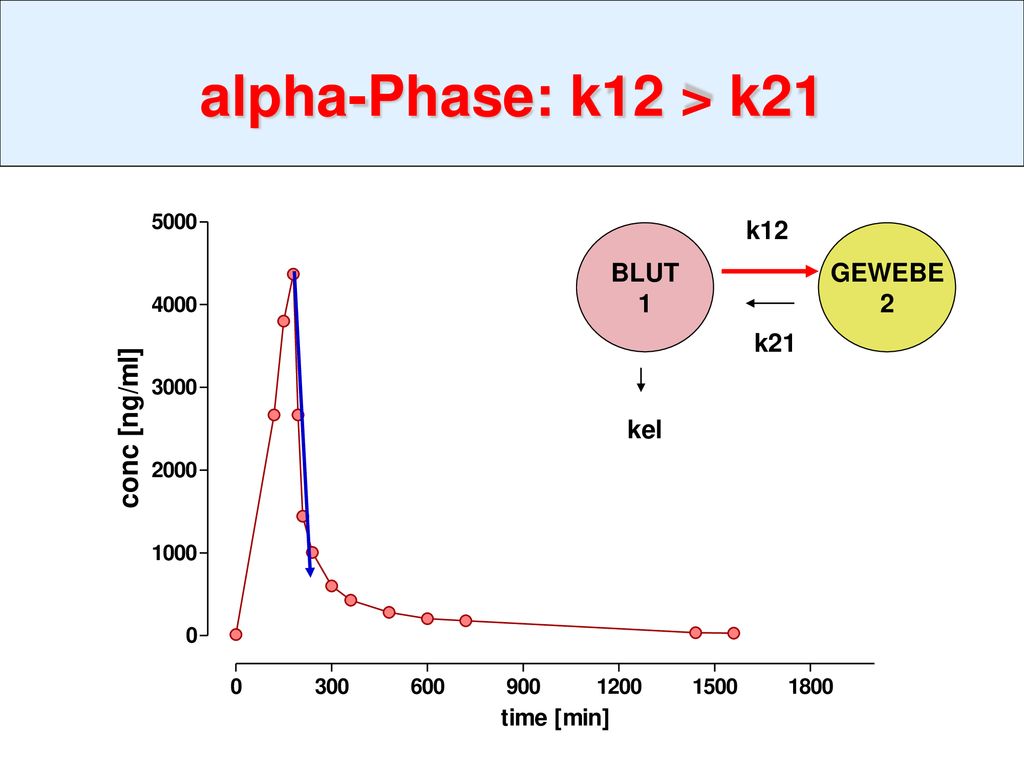 alpha-Phase: k12 > k21 k12 BLUT 1 GEWEBE 2 k21 kel