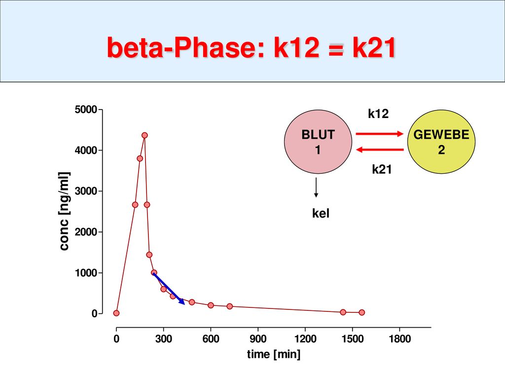 beta-Phase: k12 = k21 k12 BLUT 1 GEWEBE 2 k21 kel