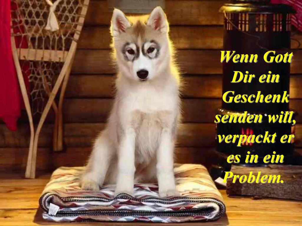 Wenn Gott Dir ein Geschenk senden will, verpackt er es in ein Problem.