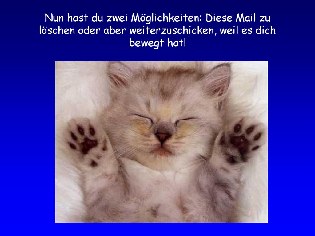 Nun hast du zwei Möglichkeiten: Diese Mail zu löschen oder aber weiterzuschicken, weil es dich bewegt hat!