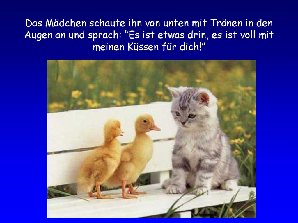 Das Mädchen schaute ihn von unten mit Tränen in den Augen an und sprach: Es ist etwas drin, es ist voll mit meinen Küssen für dich!