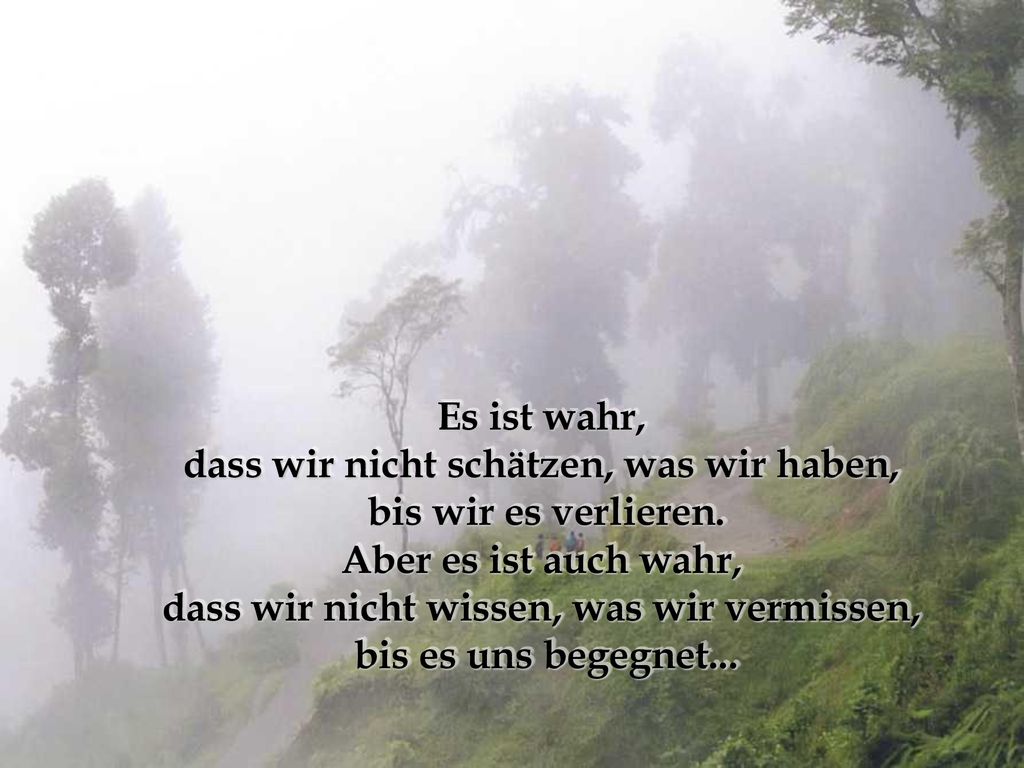 dass wir nicht schätzen, was wir haben, bis wir es verlieren.